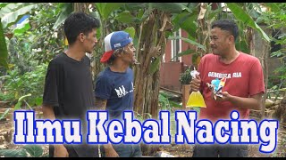 Ilmu Kebal Nacing