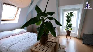 6326 Peperstraat - Apartment for rent in Amsterdam