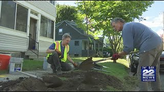 Volunteers plant trees in Northampton in honor of 'Climate Preparedness Week'