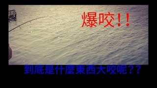 阿水的釣魚旅遊世界--船釣軟絲 磯釣 路亞 活餌 船釣 沉底 管理池