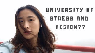 College Life | A Sneak Peek of My Life at HKUST as A WBB Student