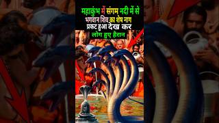 महाकुंभ में संगम नदी में से भगवान शिव का शेष नाग प्रकट हुआ देख कर लोग हुए हैरान #mhakumbh2025#shorts