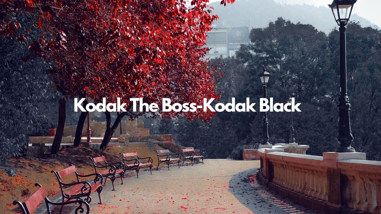 Kodak Black - Kodak The Boss [Lyrics] - YouTube