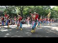 浜っ鼓★弾★dan　４k～原宿表参道元氣祭スーパーよさこい 2019（nhk前ストリート）