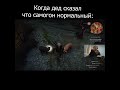 Величайший как всегда папичмемы папич рофл shorts