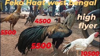 Feko Haat west bengal high flyer murga market #feko