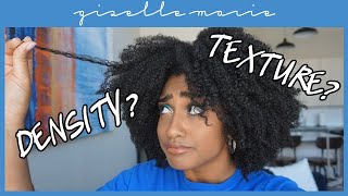 HOW TO | Determine Your Natural Hair Density & Texture, Difference Between Texture & Type