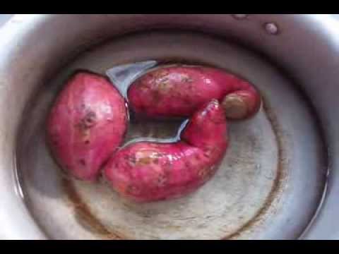 HOW TO BOIL SWEET POTATO HOW TO BOIL SWEET POTATO