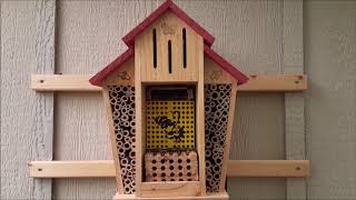 Update: Occupied Costco Bee House