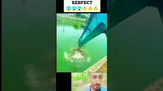 A Story Of Respect 💔💯💣🤙 New Respect Video 2024 / Respect / Paloan Family