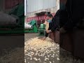 video of wood shaving machine animal bedding shavings machine