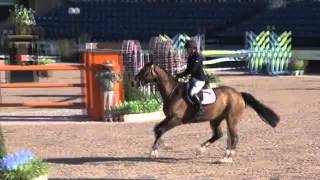 Video of DIORADO VDL ridden by JILL PRIETO from ShowNet!