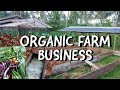 How To Earn In Organic Farming? Save Money By Knowing The 2 Major Focus In Organic Farming 💰🌸🌱