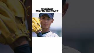 「ダルビッシュ有」に関する雑学 #野球 #ダルビッシュ有 #野球解説