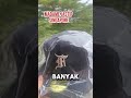 ORDERAN TOPI FEAR OF GOD DIKIRIM KE MADAMER - BISA REQUEST PRODUK LAIN DARI SINGAPORE