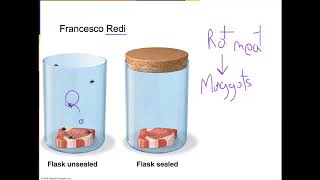 Microbiology Chapter 1