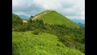 2014平沢峠から飯盛山８月