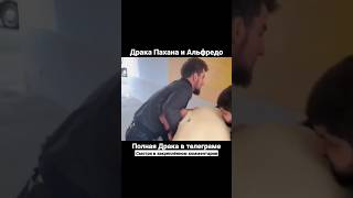 🤯 Шамиль Пахан и Альфредо Аудиторе подрались