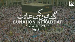 Gunahon Ki Aadat | Syed Hassan Ullah Hussaini | New Kalam | Slow & Reverb