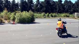 Basic Handling Skills Instructional Video