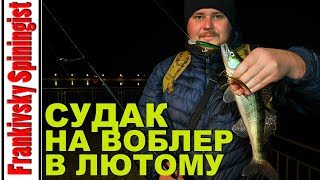 🔴 Дружня риболовля на вечірнього судака | Мороз тисне, а риба активно клює на воблер