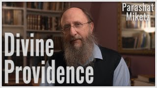 Parashat Miketz 5783: Divine Providence