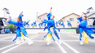 [4K] 夢踊る連　かんおんじ銭形まつり 2024 銭形よさこい(銭よさ)