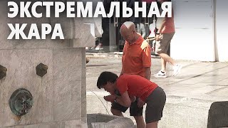 Европа снова изнемогает от аномальной жары