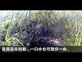 行山四大路線『環湖出咀摸鬼手』加綑邊出鬼手 下集回程750ml水...死得未 ⭐⭐⭐⭐⭐ 烏蛟騰 紅石門 花籃坑 火紅海岸 黃金壁 航拍 鬼手岩 黃竹角墩台 船灣淡水湖副壩 大美督水壩