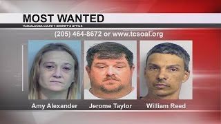 TUSCALOOSA'S MOST WANTED: SEPT. 7, 2016