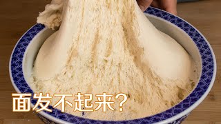 發面失敗原因|發面蒸饅頭，為什麽面發不起來易失敗？學會這4點，保證發面成功 Reason for failure｜甜心糖豆美食