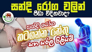 ඔබත් සන්ධි රෝග වලින් පීඩා විදිනවාද​??? ආතරයිටීස්|cartilage | knee joint| Arthritis |Home Remedies