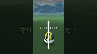 【ポケモンGO】マリルの色違い、そして、進化。 #ポケモンgo