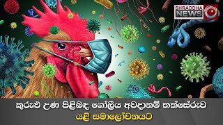 කුරුළු උණ පිළිබඳ ගෝලීය අවදානම් තක්සේරුව යළි සමාලෝචනයට…(2023-02-25)