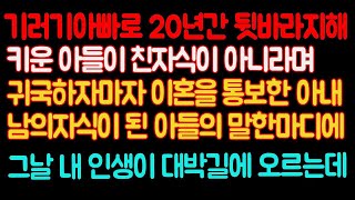 실화사연- 기러기아빠로 20년간 뒷바라지해 키운 아들이 친자식이 아니라며 귀국하자마자 이혼을 통보한 아내 남의자식이 된 아들의 말한마디에..ㅣ라디오드라마ㅣ사이다사연ㅣ