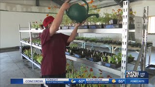 Topeka Correctional Facility uses plant sale to help inmates get fresh start