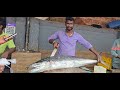 KING FISH CUTTING 12 KG FRY PIECE