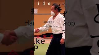 WOW!合氣 | Aiki HandShake 3 Points : 握手合氣の三点 | HandShake Drop 握手落とし #aiki #合氣