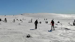 Hafjell, Norway 2021