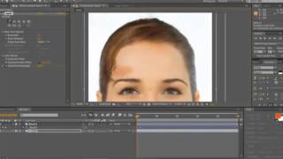 Morphing Face Preview