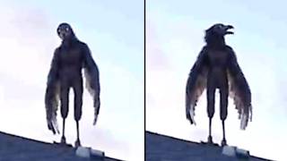 Tzy6NwtvsP8
