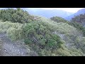 1040418合歡主峰玉山杜鵑花況 1