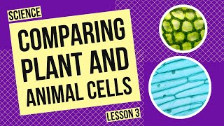 Comparing Plant and Animal Cells