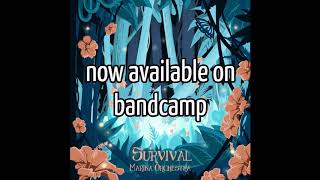 Now Available on Bandcamp: Marina Orchestra - Survival