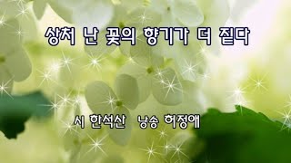 상처 난 꽃의 향기가 더 짙다 - 한석산(낭송 허정애)