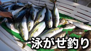 【4章-15（最終回）】泳がせ釣り、これが最後の流し！今回の釣果は？！【淡路島釣り船三幸丸 釣果VLOG】