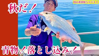 秋の青物落とし込み！ハマチ、カンパチ入れ食い堪能！