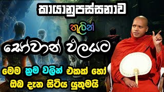 කායානුපස්සනාව තුලින් සෝතාපන්න ඵලයට | Hasalaka Seelawimala Thero | හසලක සීලවිමල හිමි | Bana 2025