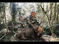 The Hunters Journal - Wild Fire - New Zealand bowhunting for red stags and sika stags