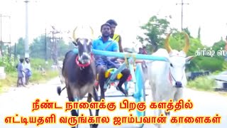 நீண்ட நாளைக்கு பிறகு களத்தில் எட்டியதளி ஜாம்பவான்கள்